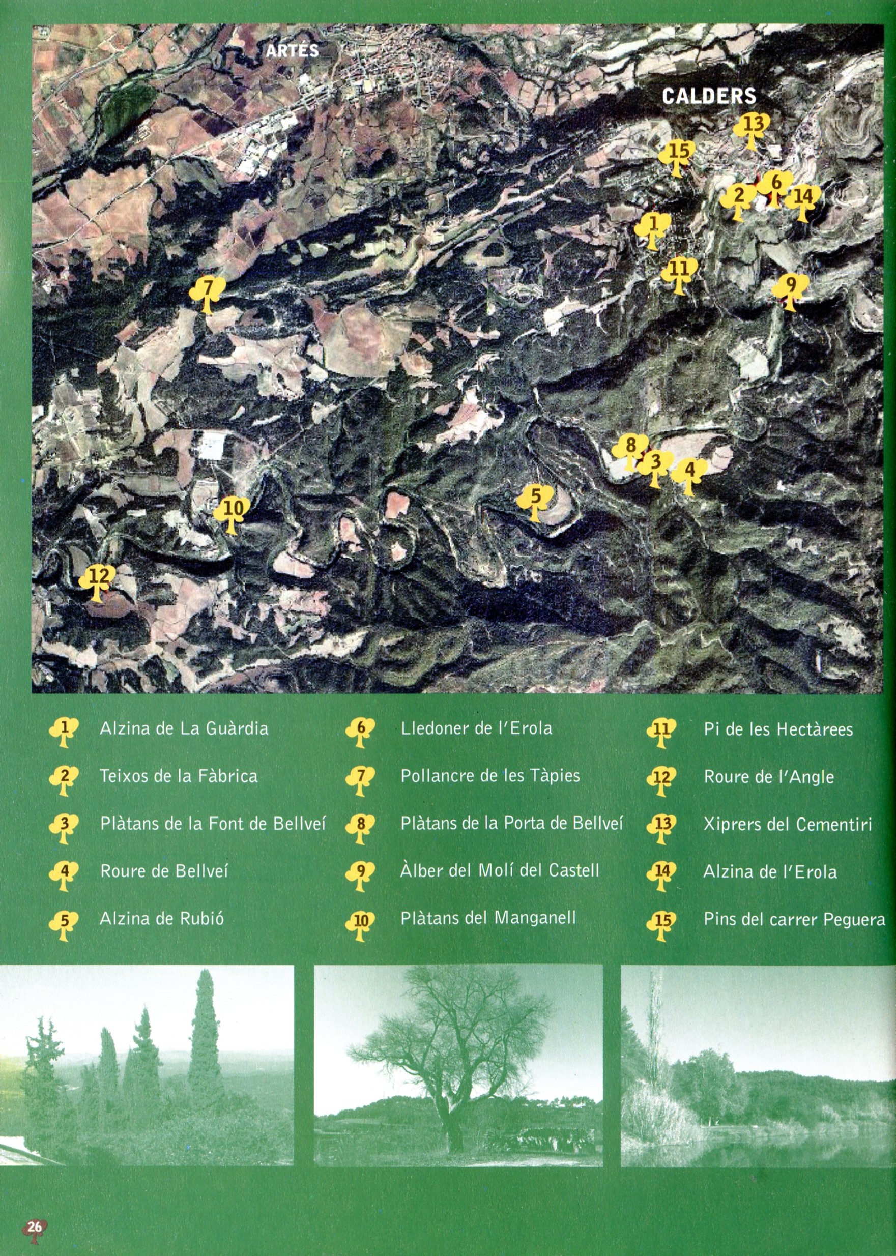 Els arbres de Calders - Miniatura 2