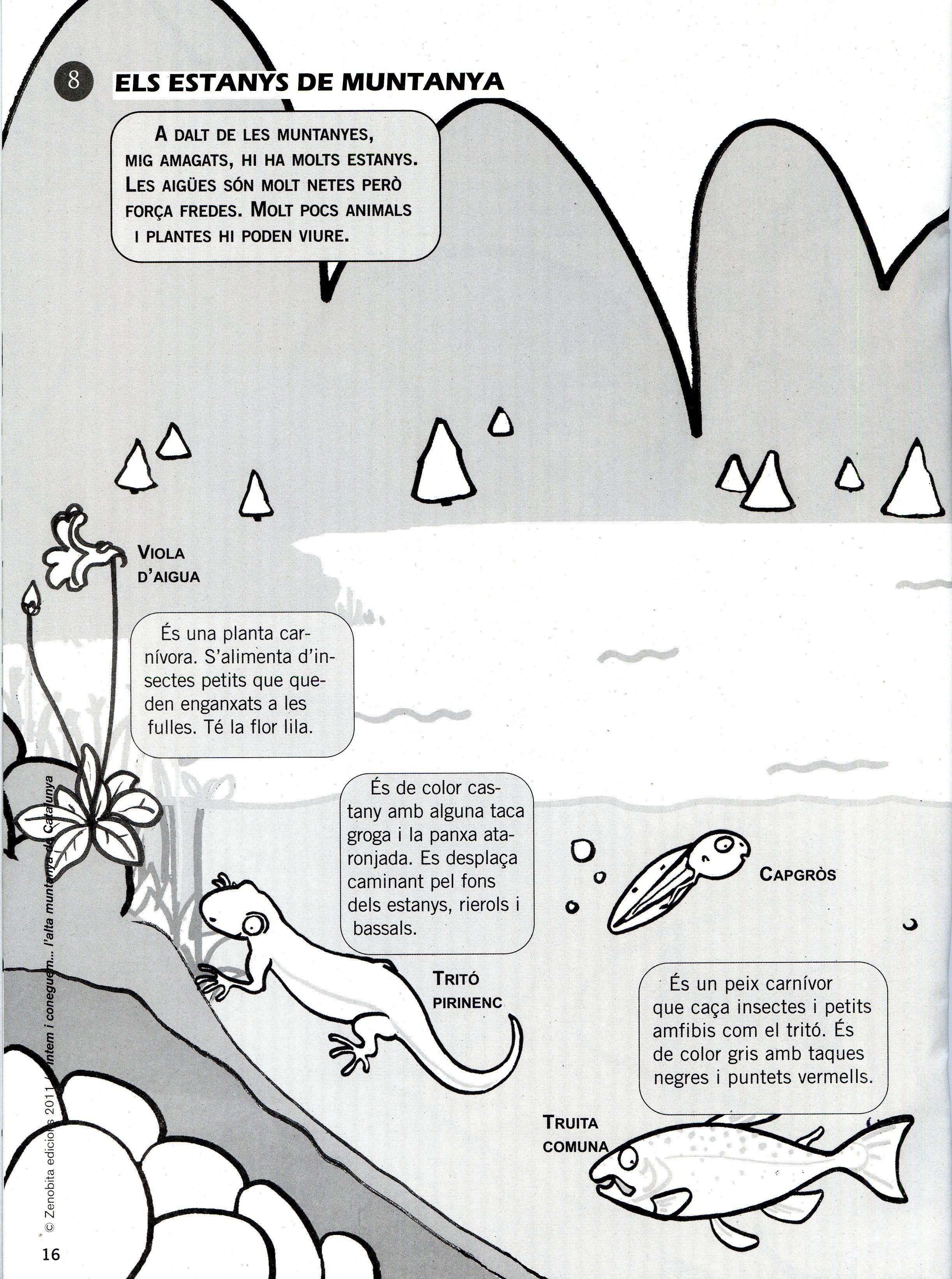 Pintem i coneguem...l'alta muntanya de Catalunya - Miniatura 2